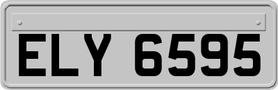 ELY6595