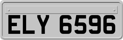 ELY6596