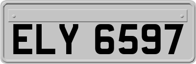 ELY6597