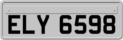 ELY6598