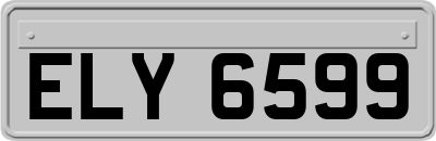 ELY6599