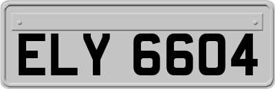 ELY6604