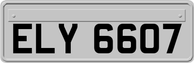 ELY6607