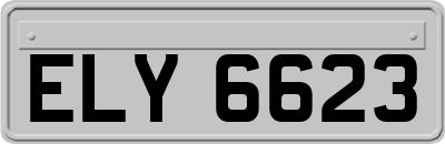 ELY6623