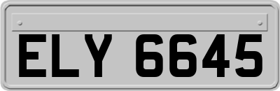 ELY6645