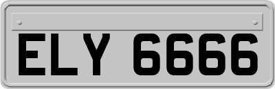 ELY6666