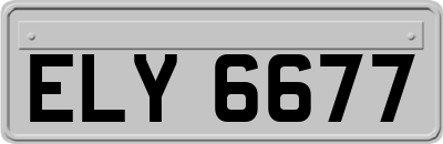 ELY6677