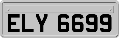 ELY6699
