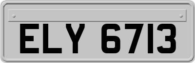ELY6713