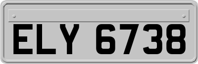 ELY6738