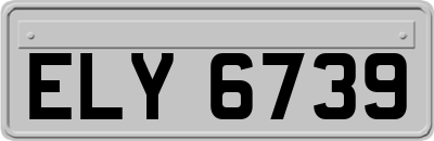 ELY6739