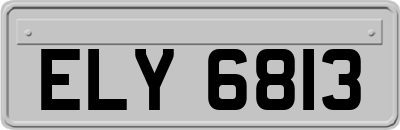 ELY6813