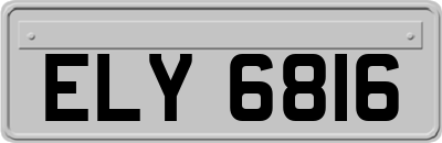 ELY6816