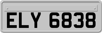 ELY6838