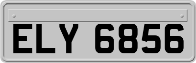 ELY6856