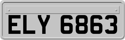 ELY6863