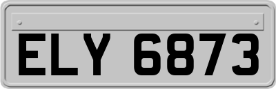 ELY6873