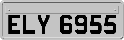 ELY6955