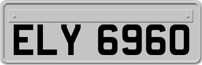 ELY6960