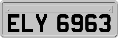 ELY6963