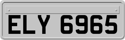 ELY6965