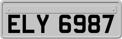 ELY6987