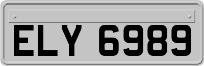 ELY6989