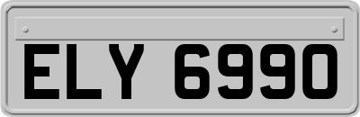 ELY6990