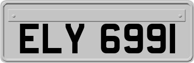 ELY6991