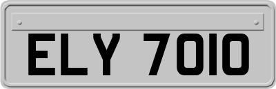 ELY7010