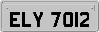 ELY7012