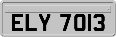 ELY7013