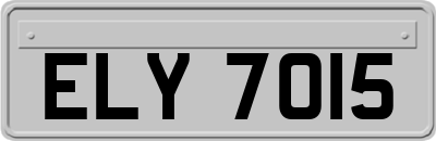 ELY7015