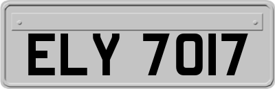 ELY7017