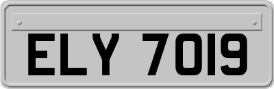 ELY7019