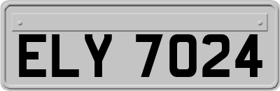 ELY7024