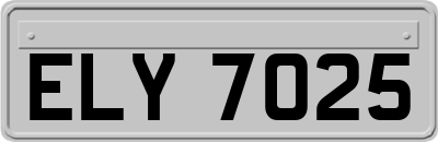 ELY7025