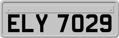 ELY7029