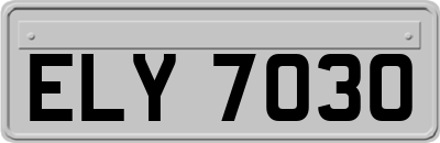 ELY7030