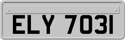 ELY7031