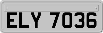 ELY7036