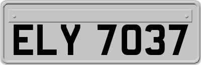 ELY7037