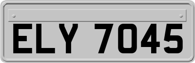ELY7045