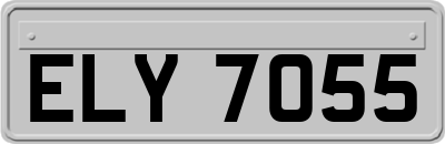ELY7055