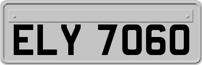 ELY7060