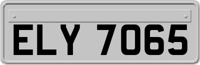 ELY7065