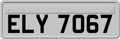 ELY7067