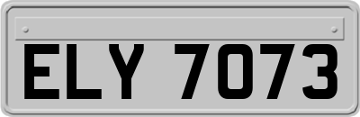 ELY7073