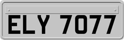 ELY7077