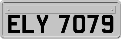 ELY7079